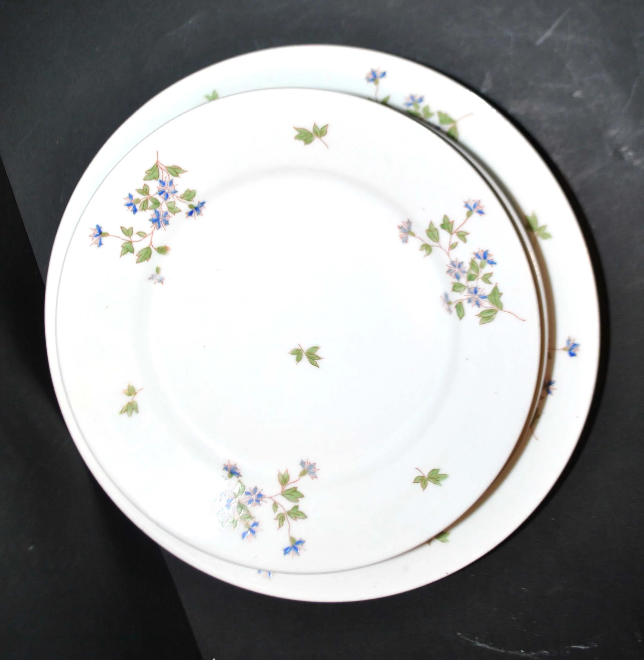 LIMOGES Assiettes et plats anciens en porcelaine modèle Barbeau bleuet 6 + 2 – Image 6