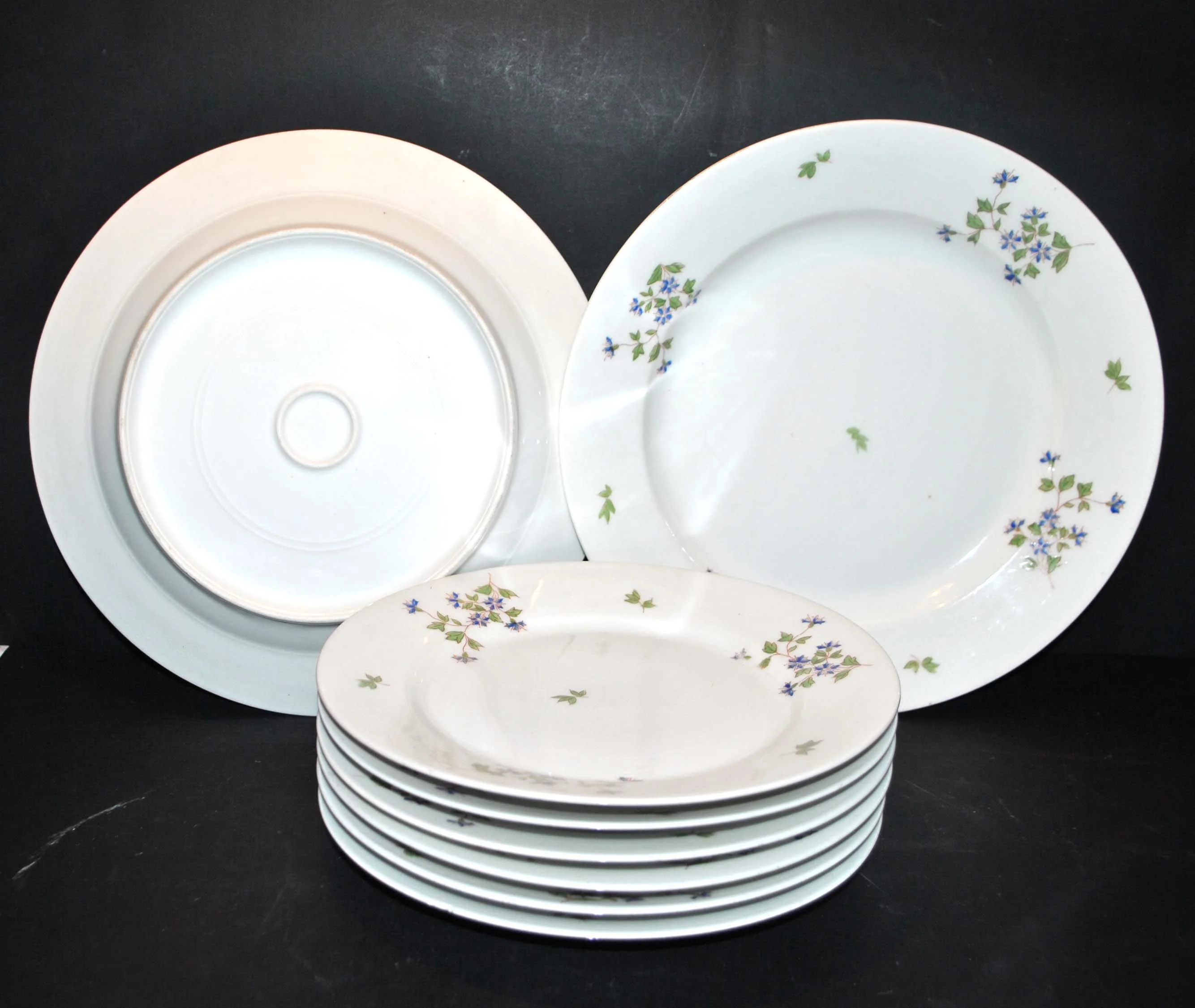 LIMOGES Assiettes et plats anciens en porcelaine modèle Barbeau bleuet 6 + 2 – Image 8