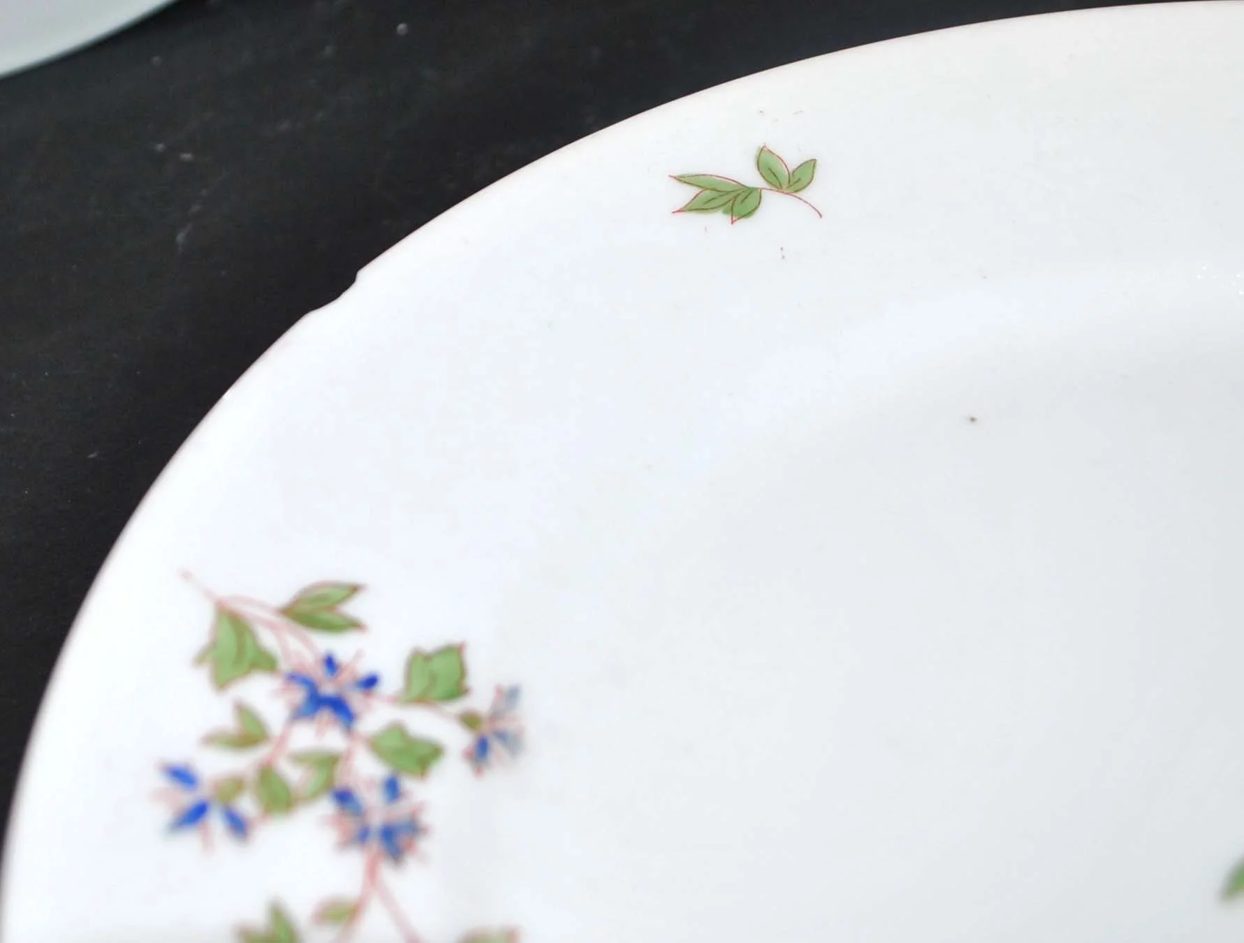 LIMOGES Assiettes et plats anciens en porcelaine modèle Barbeau bleuet 6 + 2 – Image 3