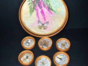 Plateau Papillons Entomologie et 6 sous-verres en bambou vintage