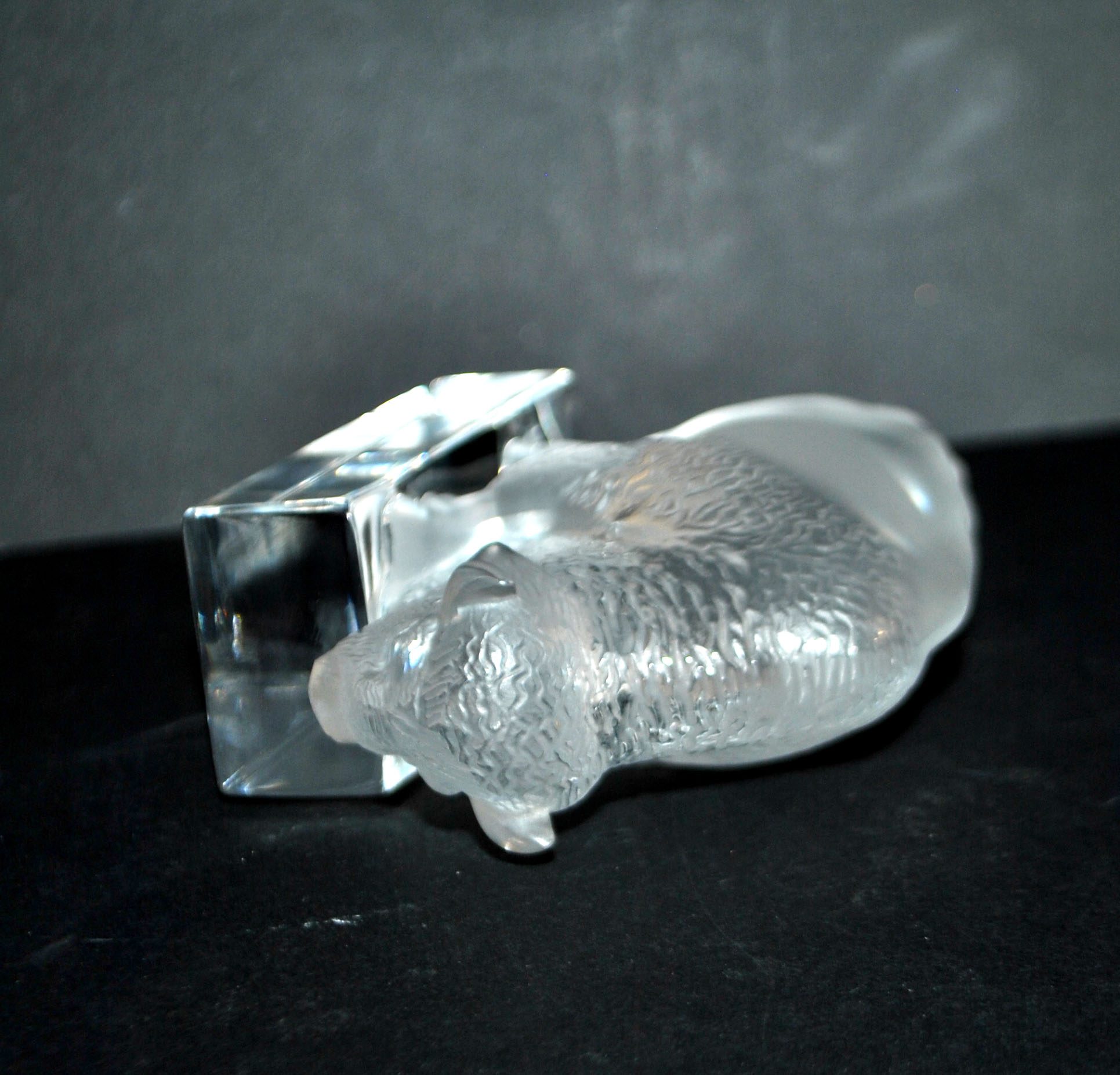 LALIQUE Sculpture Presse-papier BISON en verre dépoli et signé – Image 6